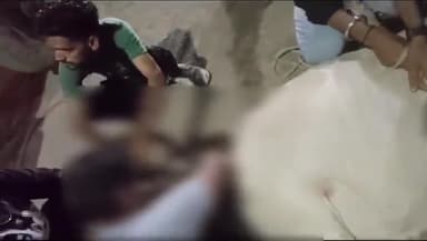 शाजापुर: शाजापुर नगर में गौरक्षा सेना ने घायल और बीमार गाय एवं गोवंश का किया उपचार