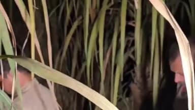 करनाल: गगसीना गांव में गन्ने के खेत में एक व्यक्ति की मिली डेड बॉडी, मौके पर पहुंची पुलिस