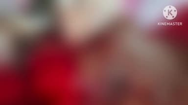 लापुंग: लापुंग के दोलैचा में भालू ने हमला कर वृद्ध को बुरी तरह घायल किया