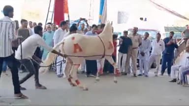 नसीराबाद: राजगढ़ धाम पर छत मेले की तैयारियां जोरों पर, श्रद्धालु प्रसादिया कर रहे हैं, दूर-दूर से आ रहे हैं भक्तगण