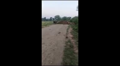 देवेंद्रनगर: राजादहार से कोढ़न पुरवा जाने वाला मार्ग दबंगों ने मिट्टी डालकर किया बंद, लोगों को निकलने में हो रही परेशानियां