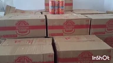 जमुई: मोहगांय गांव के पास उत्पाद विभाग ने पिकअप से 1056 लीटर बियर किया ज़ब्त, चालक को किया गिरफ्तार