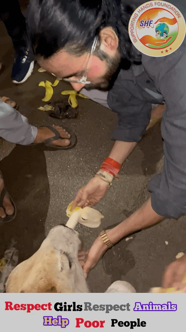 रक्षा करना हमारा कर्तव्य है, 
गाय हमारी माता है 🐄🙏🏻

Respect Girls help poor help animals 

#apsgurjar #help #animals #love #gwalior