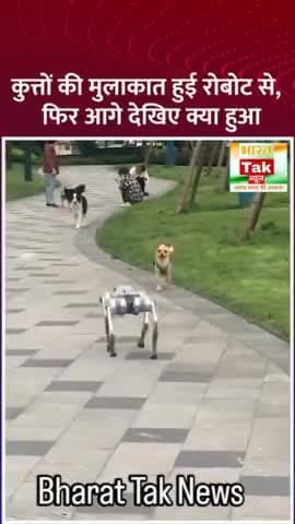 #DogsMeetRobotDog: कुत्तों की मुलाकात हुई रोबोट से, उसके बाद जो हुआ... देखिए वीडियो #ViralVideo #Video