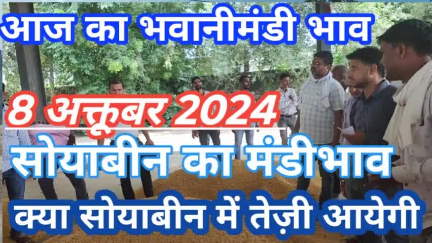 आज का भवानी मंडी भाव पूरी वीडियो यूट्यूब पर देखें। #bhawanimandi