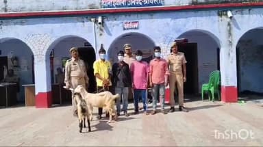 इकौना: इकौना से बकरा और बकरी चोरी करने वाले 4 अभियुक्त गिरफ्तार, चोरी हुए बकरा और बकरी भी बरामद