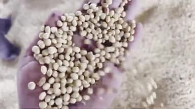 मंदसौर: ₹4892 प्रति क्विंटल किया गया सोयाबीन का समर्थन मूल्य, जिले के 68 उपार्जन केन्द्रों पर 20 अक्टूबर तक होंगे पंजीकरण