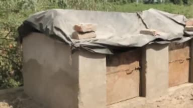 हमीरपुर: बांकी में कूड़ादान को सूअरबाड़ा बना दिया गया, एडीओ पंचायत और सचिव को नहीं है जानकारी