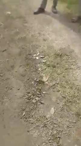 ग्राम पंचायत डोलरिया  तहसील रहटगांव जिला हरदा