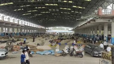 मंदसौर: लालघाटी स्थित कृषि उपज मंडी में त्योहारों के चलते 11, 12 और 13 अक्टूबर को रहेगा अवकाश, अब सोमवार को होगी नीलामी