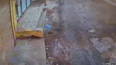 झिरन्या: झिरन्या में मवेशियों के झुंड ने बाइक सवार को रौंदा