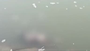 रामपुर: दरियागढ़ के पास पीलाखार नदी में एक किशोर की लाश मिलने से सनसनी, पुलिस ने शव पीएम के लिए जिला अस्पताल की मोर्चरी भेजा