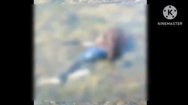 सेलू: रिधोरा येथे नाल्याच्या पाण्यात पडून ३५ वर्षीय तरुणाचा मृत्य, सेलू पोलिसांत मर्ग दाखल