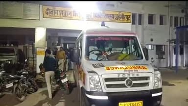 हमीरपुर: पचखुरा बुजुर्ग मोड़ के पास डीसीएम ने चरवाहा और भैंसों को मारी टक्कर, एक भैंस की हुई मौत व चरवाहा और एक भैंस हुई घायल