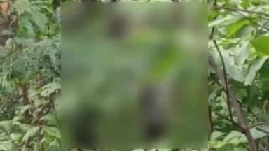 पखांजूर: PV 89 विवेकनगर में पत्नी से मारपीट करने के बाद पति ने फांसी पर लटककर की आत्महत्या