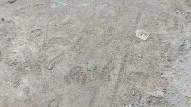 टीकमगढ़: कारी में बनी सीसी रोड में भ्रष्टाचार के आरोप, ग्रामीणों ने अधिकारियों पर गुणवत्ताहीन निर्माण में मिलीभगत का लगाया आरोप