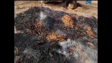 मनेठी: लिसान गांव में करीब 52 एकड़ बाजरे की पुली आग लगने से हुई राख