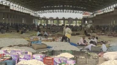 मंदसौर: अवकाश के बाद खुली कृषि उपज मंडी मंदसौर में प्याज के 4 हजार 300 कट्टे एवं लहसुन के 7000 से अधिक कट्टे पहुंचे