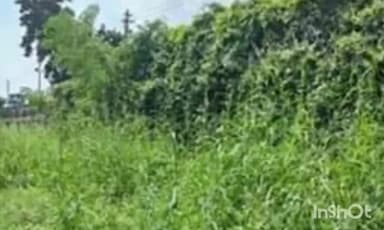 चितरंगी: NCL खड़िया क्षेत्र की सफाई की गई, सभी स्थलों को विकसित करने की योजना है