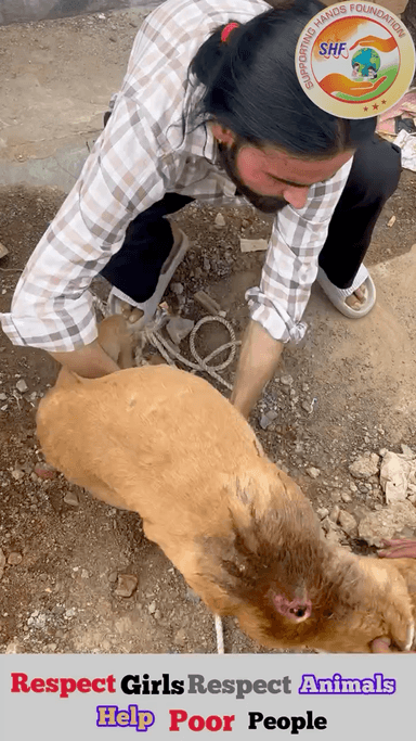 कर्म आपकी परीक्षा लेता है 📖
I’m ready 🙏🏻

Respect Girls help poor help animals 
#apsgurjar