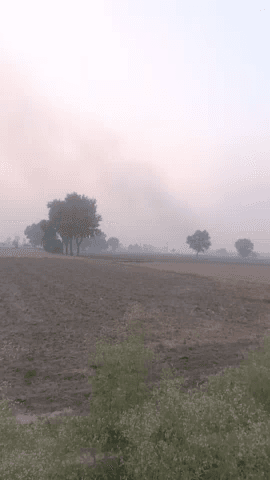 किसान सरेआम आग लगा रहे हैं पराली को प्रशासन नहीं करता कोई कार्रवाई #ngt #court #delhi #india #news #city #viral #पराली