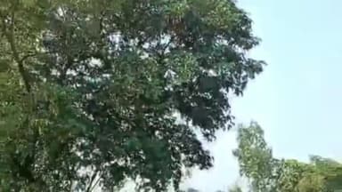 रायबरेली: लोधन के पुरवा में मामूली बात पर जीजा और साले के बीच हुई मारपीट, वीडियो सोशल मीडिया पर हुआ वायरल