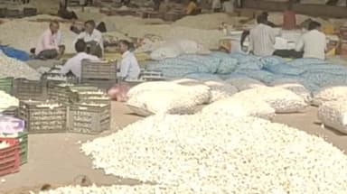 मंदसौर: छुट्टी से पहले कृषि मंडी में सोयाबीन, लहसुन, प्याज एवं मूंगफली की हुई बंपर आवक, 26 अक्टूबर से 3 नवंबर तक बंद रहेगी मंडी