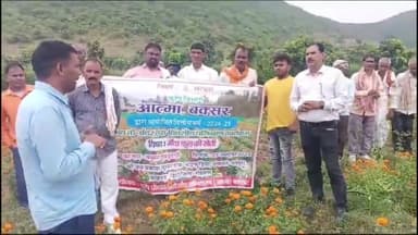 बक्सर: बक्सर जिले के 4 प्रखंडों के किसान डिहरी में गेंदा फूल की खेती का प्रशिक्षण ले रहे हैं