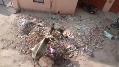 बूंदी: नगर परिषद सभापति ने अधिकारियों के साथ बैठक कर दीपावली से पूर्व शहर में साफ-सफाई कराने के दिए निर्देश