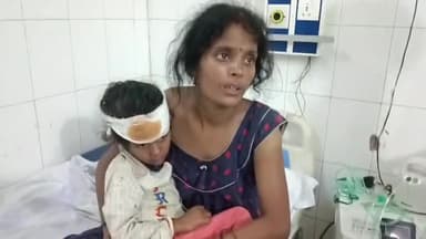 हिलसा: मणी बिगहा में संपत्ति के विवाद को लेकर हुई मारपीट में मां और बेटी हुई घायल