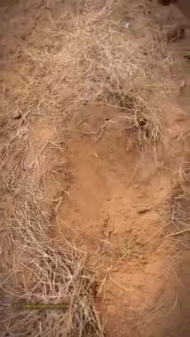 हर घर तक यह वीडियो पहुंचा जाए इंसान उसके लिए लड़ रहा है जो उनका कभी नहीं हो सकता उसको खो देता है जो उनके रिश्ते खून से बंधे होते हैं