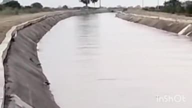 पीपलदा: दायीं मुख्य नहर की इटावा ब्रांच के टेल क्षेत्र में पहुँचा पानी, सिंचाई विभाग के अधिकारी कर रहे निगरानी