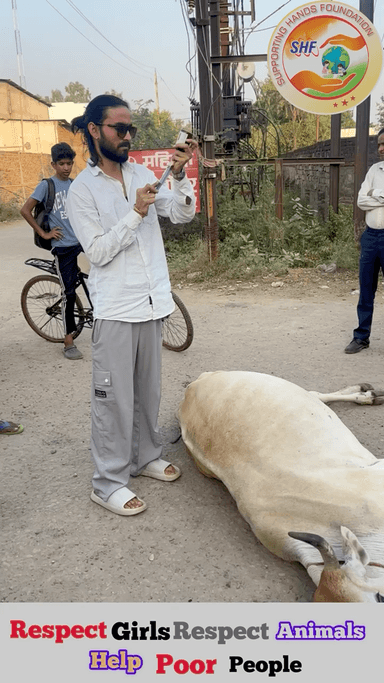 गाये दूध नहीं देती, इसलिए हम उसका इलाज नहीं करा सकते. 😡

Respect Girls help poor help animals 

#apsgurjar #help #viral #support #cow