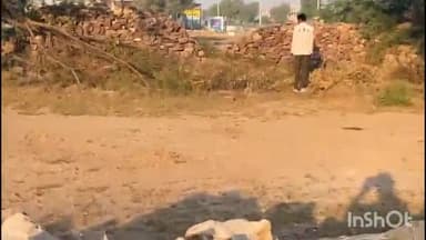 खींवसर: प्रेमनगर में एंबुलेंस चालक और ईएमटी घायल अवस्था में मिले, इलाज के दौरान ईएमटी की हुई मौत, पुलिस मौके पर पहुंची