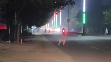 अमरोहा: गांव एबजाबाद में सड़क पर बाइक खड़ी कर लघुशंका कर रहे युवक का 58 हजार रुपये से भरा बैग चोरी, मुकदमा दर्ज