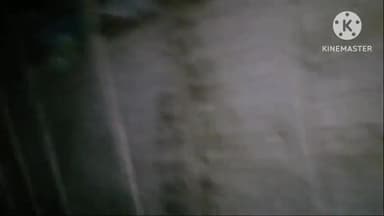 खुरई: खुरई के टिंचिंग ग्राउंड में बीना रिफायनरी से आया बायो मेडिकल वेस्ट फेंकते समय नगर पालिका प्रशासन ने की कार्रवाई