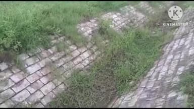 बकानी: खानपुर क्षेत्र के भीमसागर मध्यम सिंचाई परियोजना की दाई और बाई नहरों में 3 नवंबर से छोड़ा जाएगा पानी