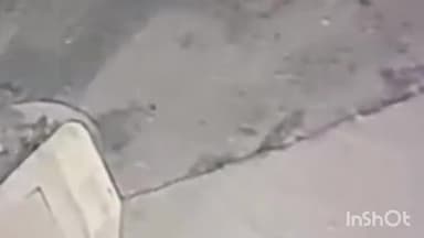 नागौर: उदयपुर के बाद नागौर में लेपर्ड की दस्तक, खींवसर में एक सीसीटीवी में कैद हुआ लेपर्ड, वन विभाग ने मंगवाया पिंजरा