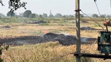 रायसेन: रायसेन में प्रशासन की रोक के बावजूद किसान धान की पराली जला रहे हैं