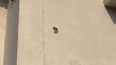 मेरठ: इंचौली क्षेत्र में बिजली घर पर की गई फायरिंग, जेई व अन्य विद्युतकर्मियों ने कमरे में छिपकर बचाई जान