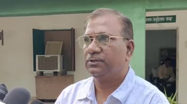 मानपुर: बांधवगढ़ टाइगर रिजर्व में 10 हाथियों की मौत, कोदो बाजरा से जुड़े मायकोटॉक्सिन की संभावना - DD BTR