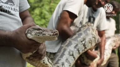 मथुरा: थाना फरह क्षेत्र के गांव कुरकुंडा में कुएं में गिरे 55 किलो वजन के अजगर का वन विभाग की टीम ने किया रेस्क्यू
