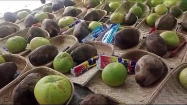 जगदीशपुर: हरीगांव शिव मंदिर पर समाजसेवी संजय कुमार चतुर्वेदी ने सैकड़ों छठ व्रतियों के बीच पूजन सामग्री का वितरण किया