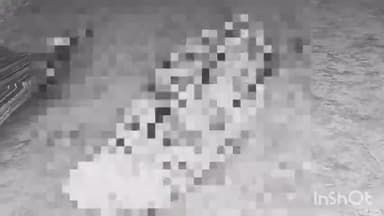 हरदोई: छमुहनपुरवा गांव में आम के बाग में युवक ने गमछे से फांसी लगाकर की आत्महत्या, पुलिस ने शव को पोस्टमार्टम के लिए भेजा