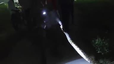 करछना: सड़वा कला में पांचवीं बार निकला विशालकाय अजगर, लोगों में बना डर का माहौल