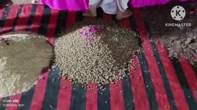 बकानी: बकानी कस्बे की श्री गोविंद गौशाला में गोपाष्टमी के पावन पर्व पर गो पूजन व छप्पन भोग का आयोजन किया गया