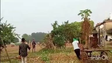 जमुई: गुगुलडीह गांव में जमीन विवाद के चलते मारपीट, चार लोग घायल, मारपीट का वीडियो आया सामने