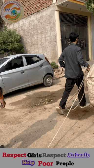 आज मेरी लड़ाई हो गई एक आंटी 
से पर मैने गाय का इलाज फिर भी किया 🙏🏻

Respect Girls help poor help animals 

#apsgurjar #help #viral