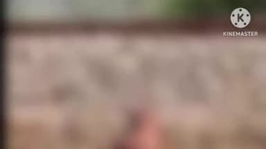 प्रतापगढ़: सुवंसा क्रॉसिंग के समीप ट्रेन की चपेट में आने से पान विक्रेता की मौत