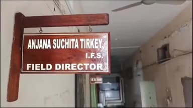 पन्ना: बीमारियों की रोकथाम के लिए पन्ना टाइगर रिजर्व में 15 नवंबर से टीकाकरण कार्य शुरू, फील्ड डायरेक्टर अंजना ने दी जानकारी